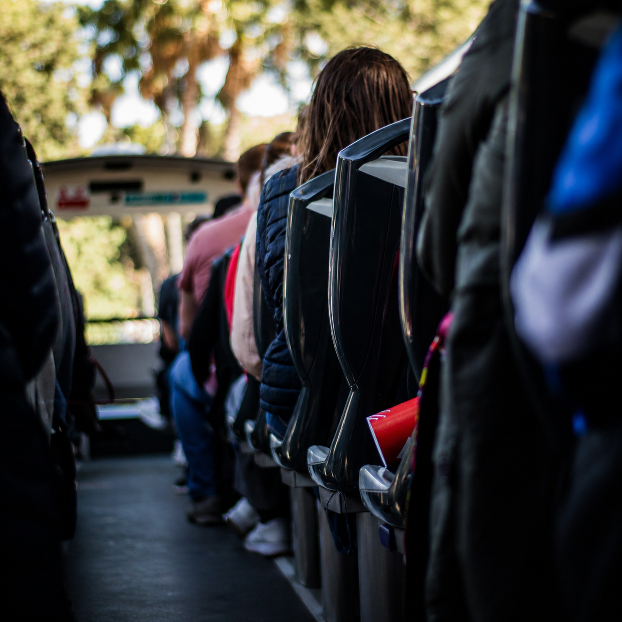 compañía artistica